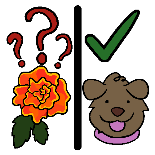  A drawing split in half, with a marigold and red question marks on one side, and a dog with a pink collar and a green check mark on the other.